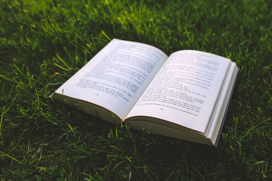 Crop unrecognizable male in casual clothes reading novel while standing at grassy surface on sunny summer day