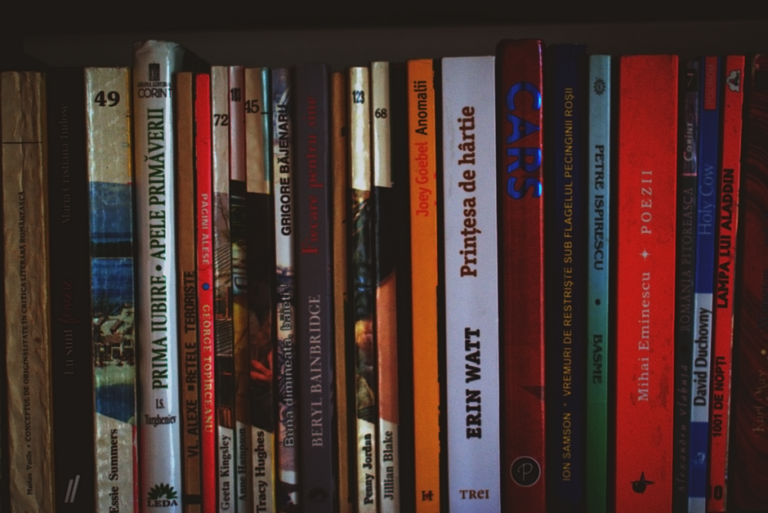 A vibrant collection of books neatly arranged on a bookshelf indoors.